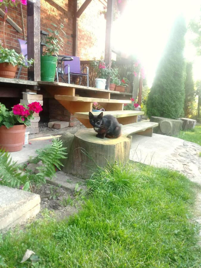 Sloneczna Weranda Bed & Breakfast Wydminy Bagian luar foto